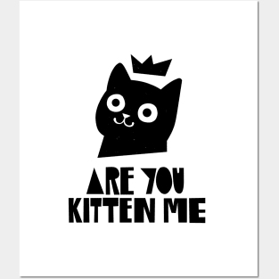 Are You Kitten Me Posters and Art